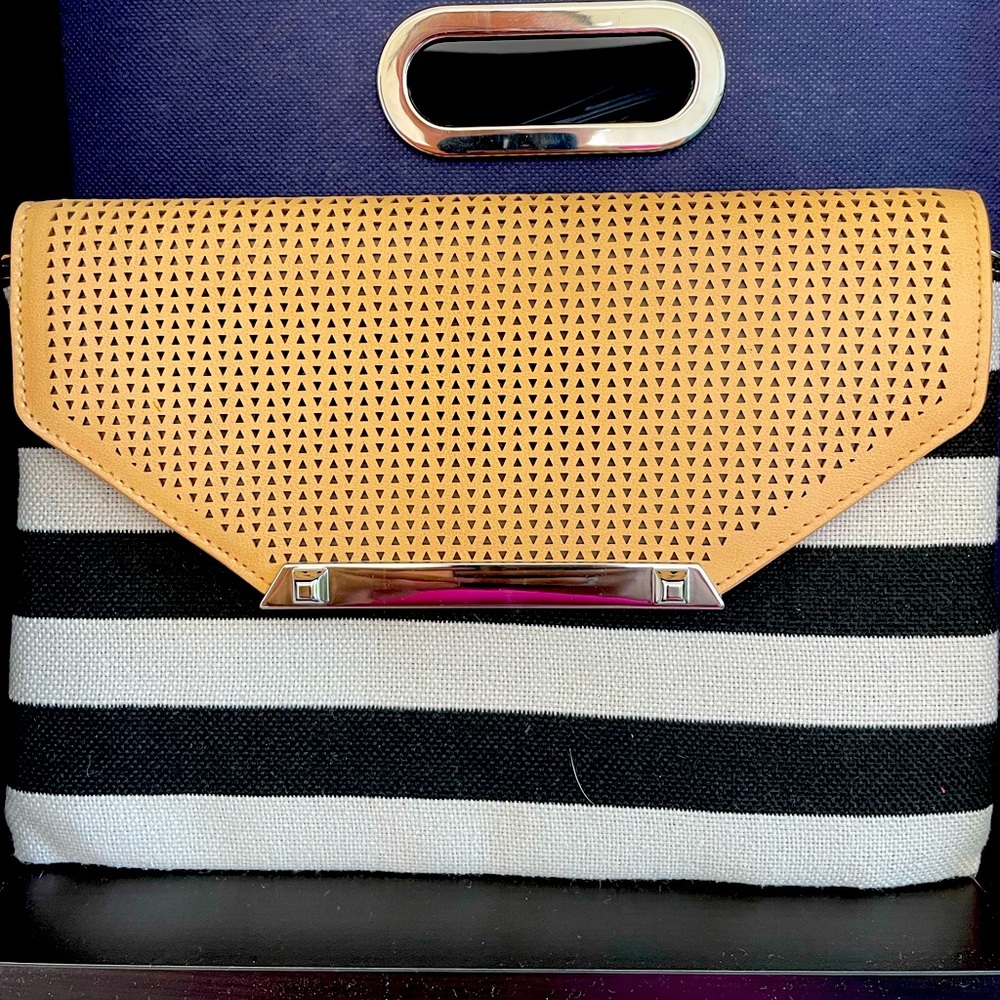 Stella & Dot striped clutch